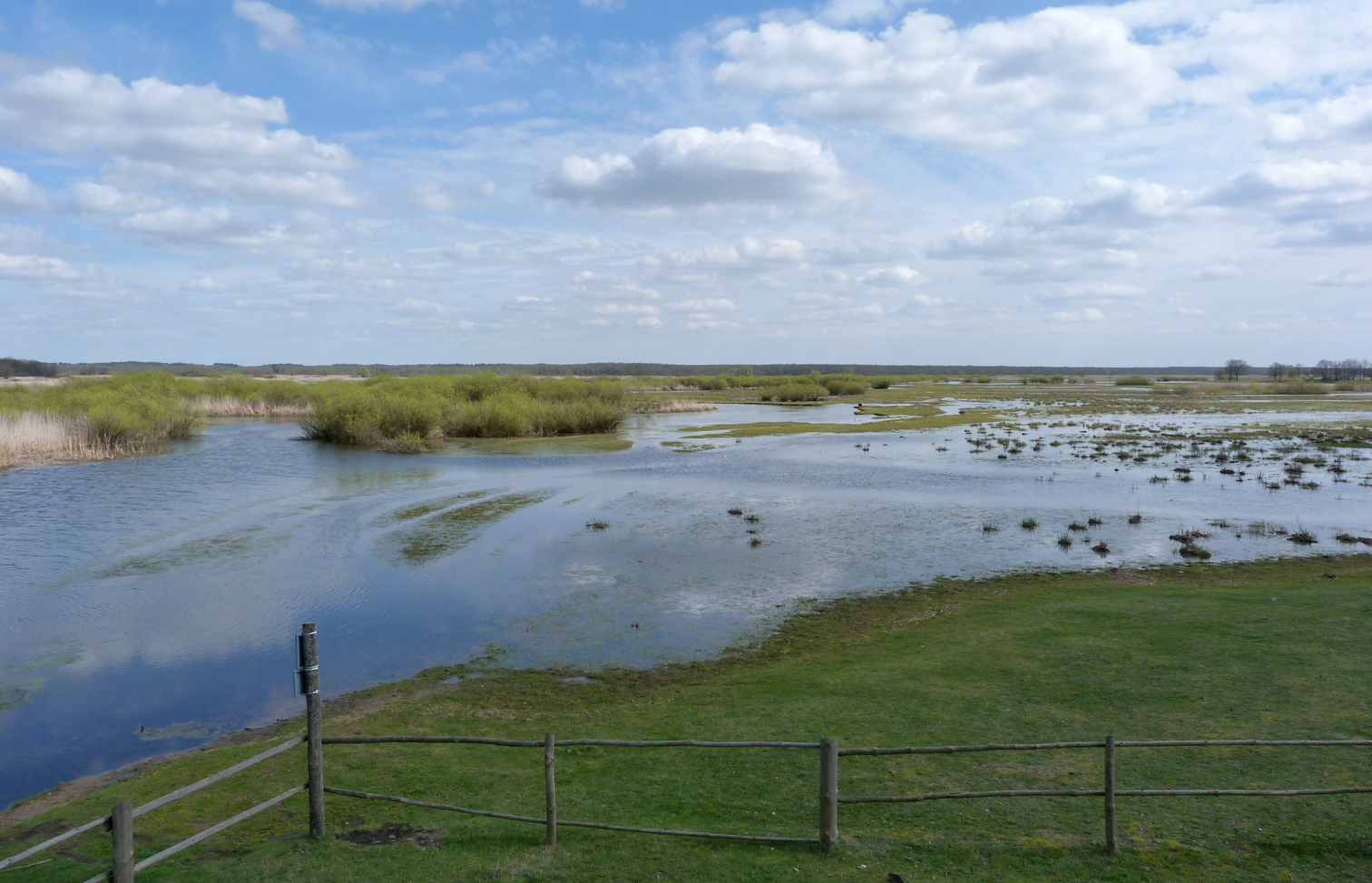 Mscichy - the view from the top of the observation tower