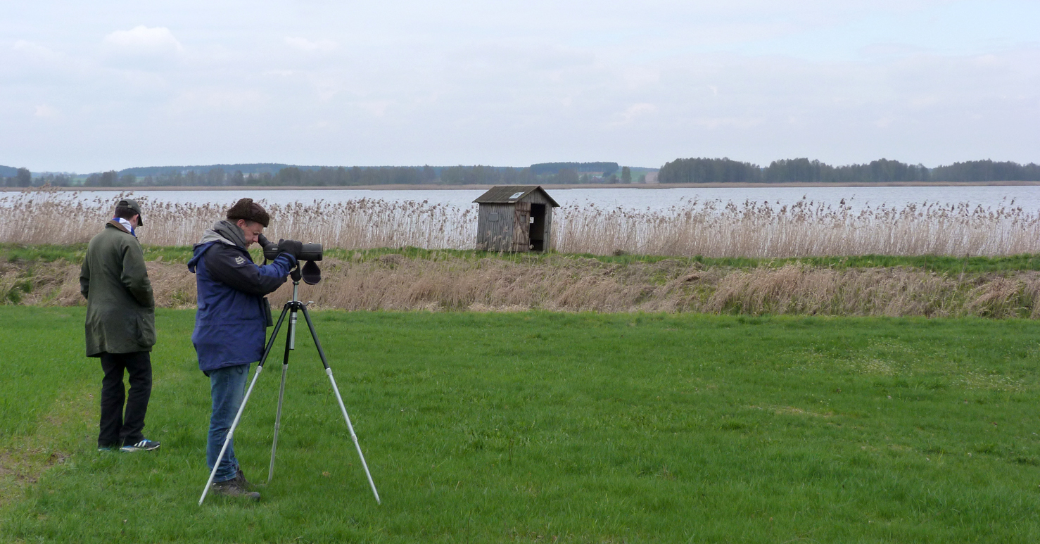 BUBO find another Reservoir - standard