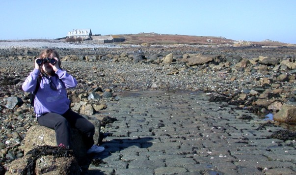 Abigail scans for the Snowy Owl