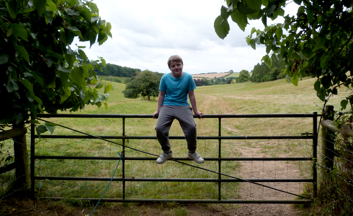 Fields behind Manor Farm, Rockbourne