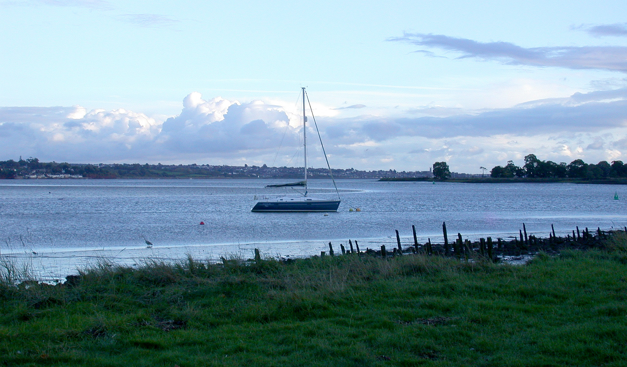 Exe Estuary