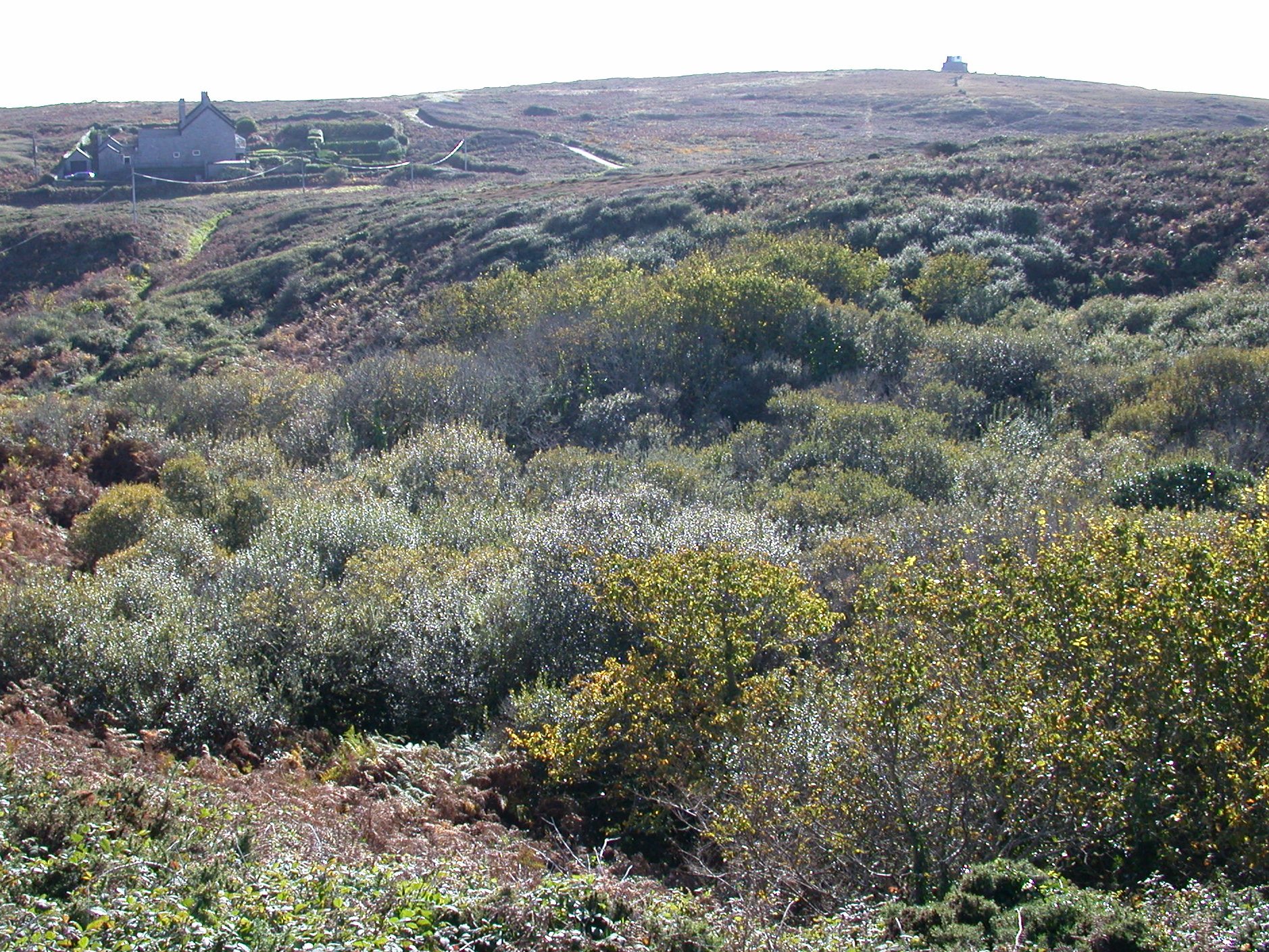 porthgwarra