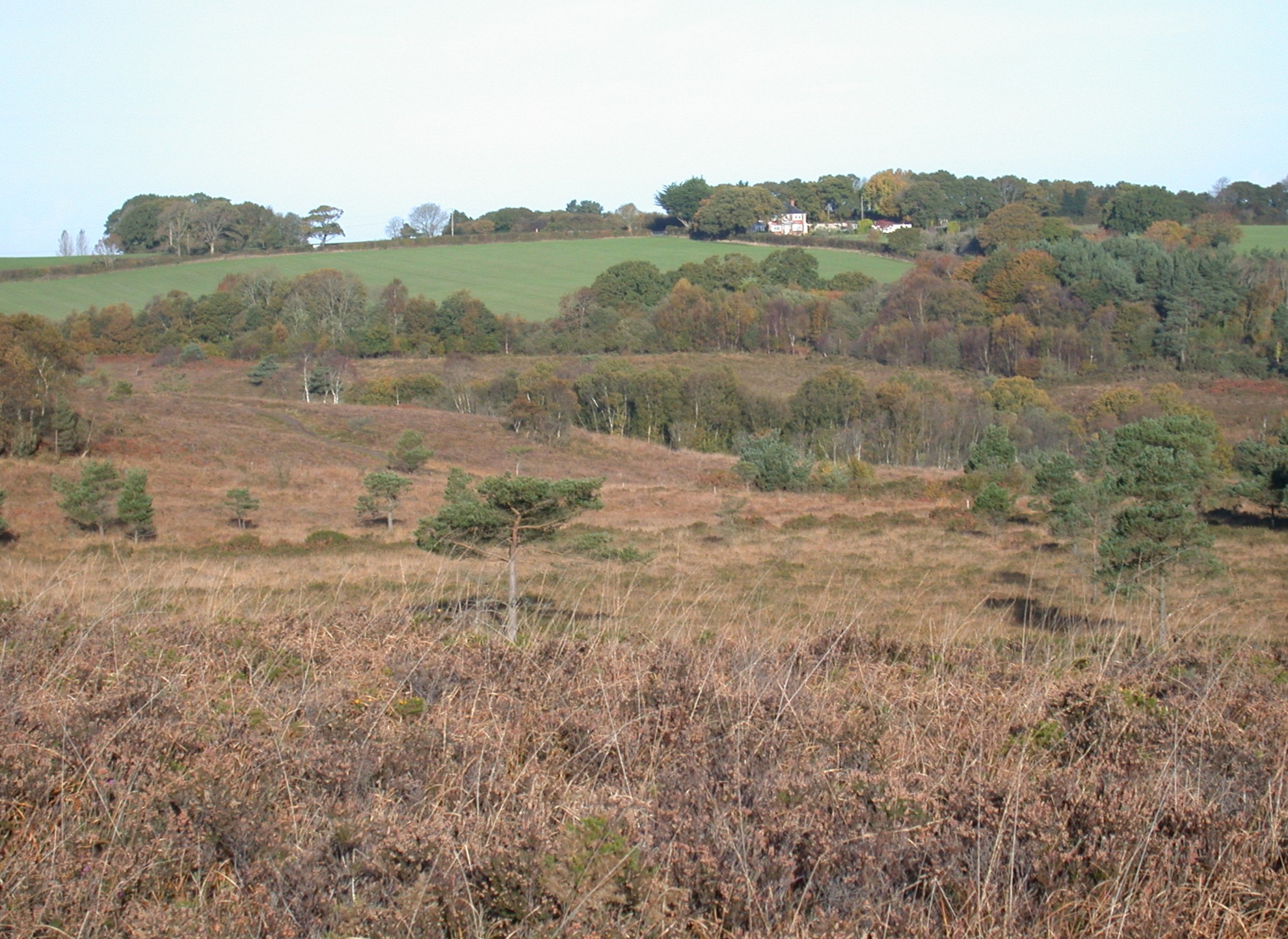 Aylesbeare common