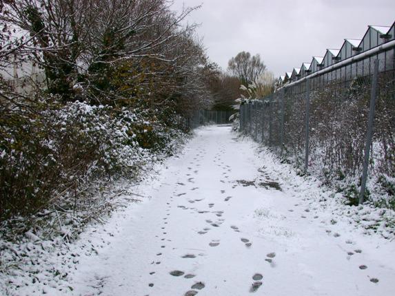 The track by the prison