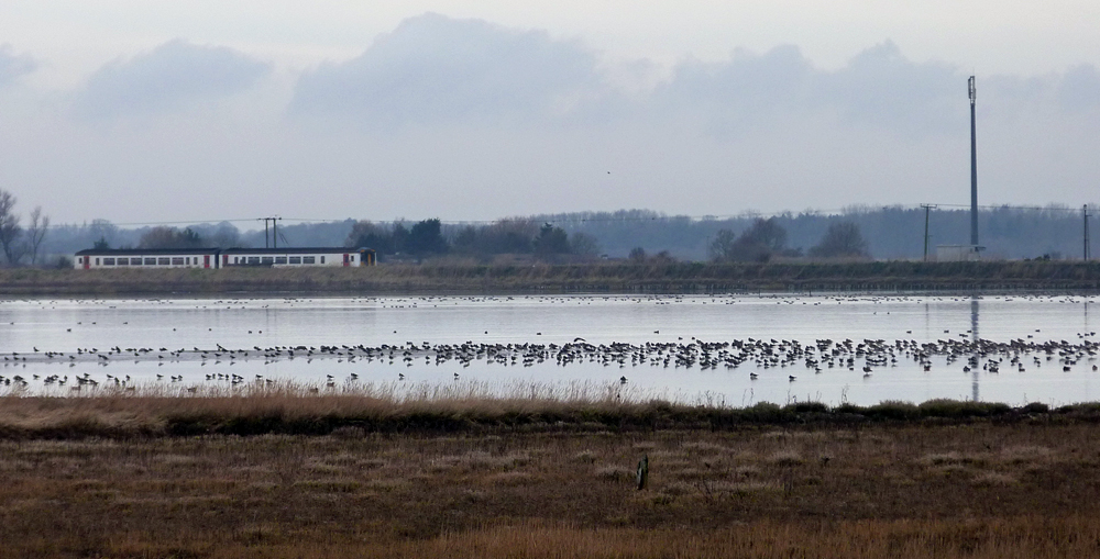 Breydon Water
