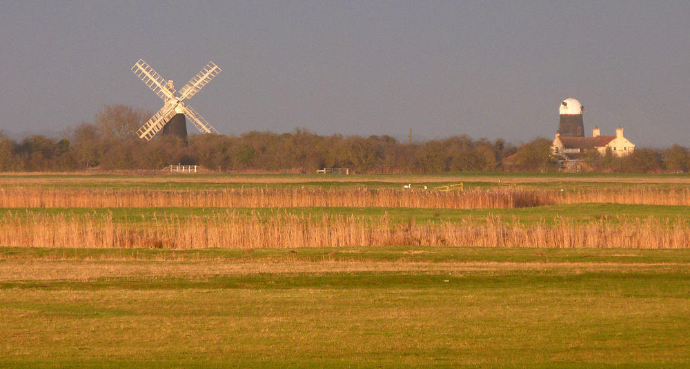 looking out from Reedham