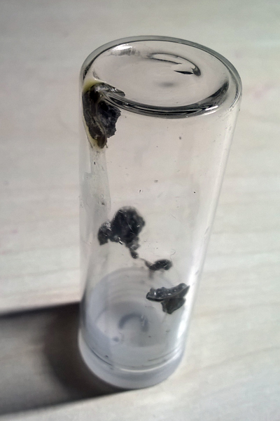 Not a lot of Royl Tern poop - will it contain enough DNA?