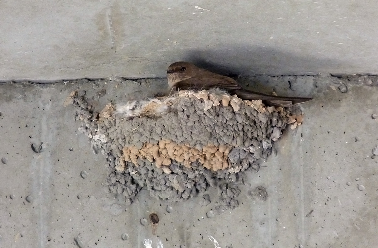 Crag Martin - Nice Airport terminal