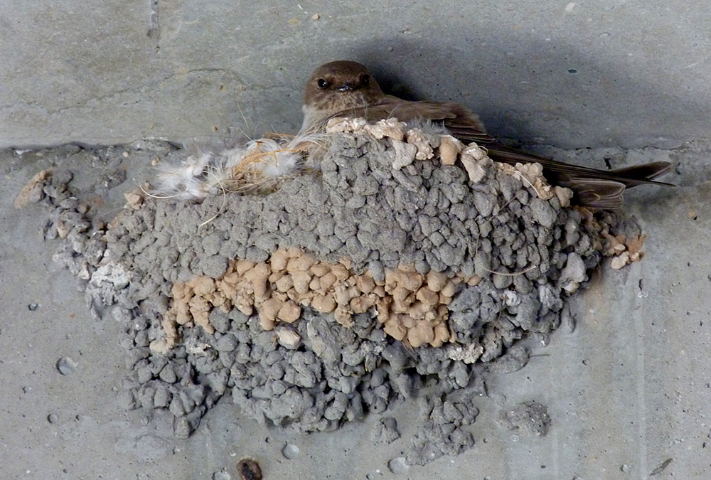 Crag Martin - Nice Airport terminal