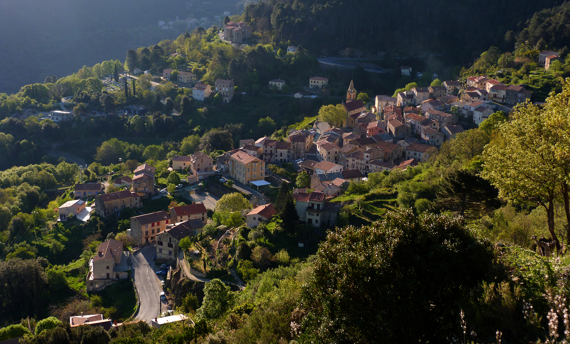 Vivario