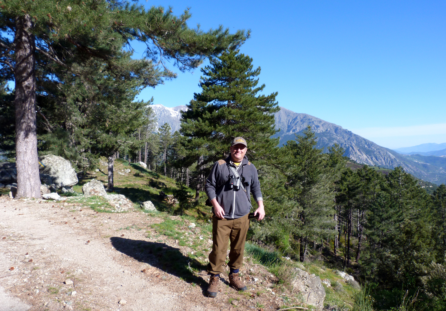 MPL birding near Col de Sorba, Vivario