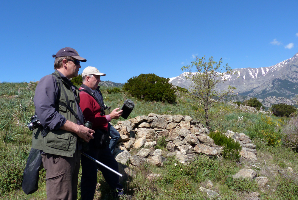 Trying to tempt out Sylvia warblers behind the Chalet Restaurant
