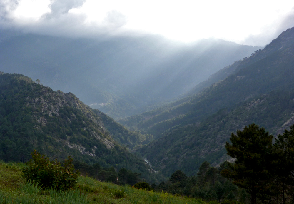 The view from the Chalet Meadows as the clouds rolled in over the mountains.
