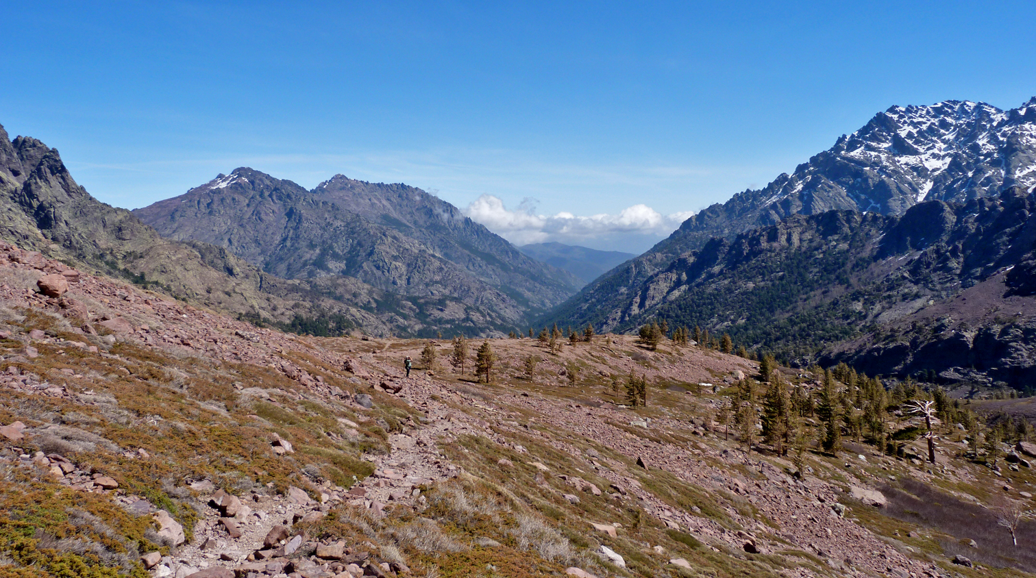 Haute Asco, above the tree line