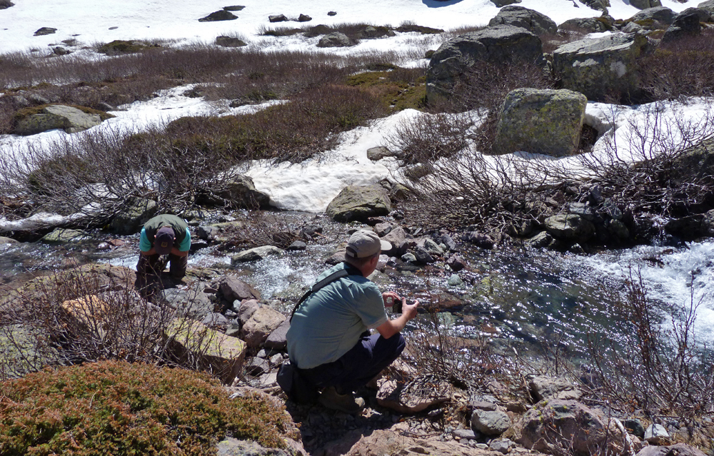 No better drink than Fresh Mountain water