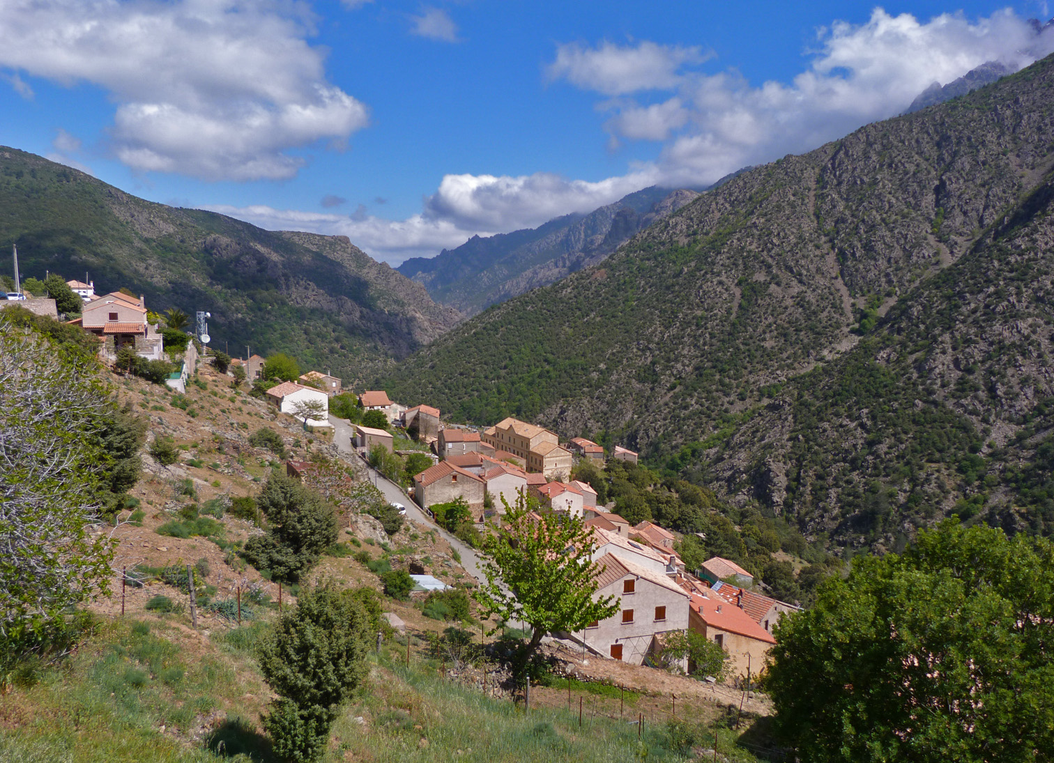 Asco village