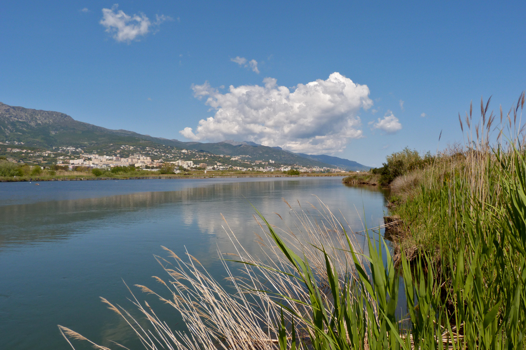 Etang de Biguglia