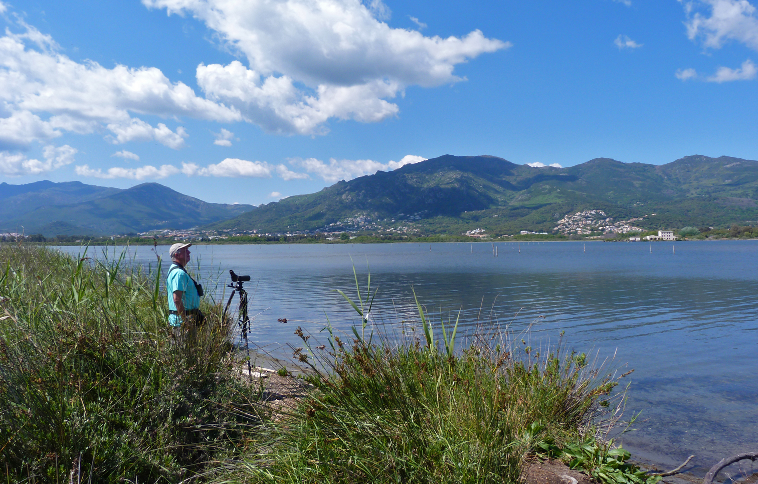 Etang de Biguglia