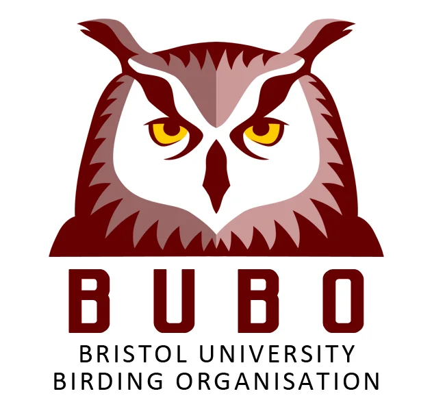 BUBO LOGO 2017 small.jpg