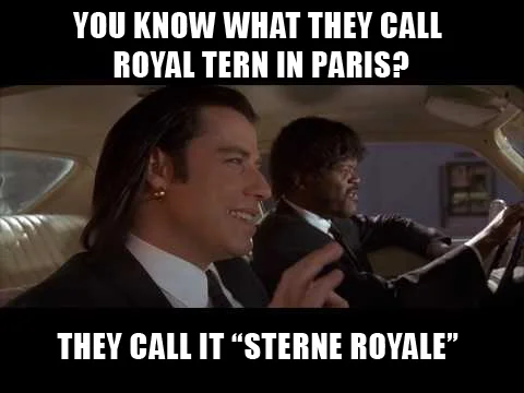 sterne royale.jpg
