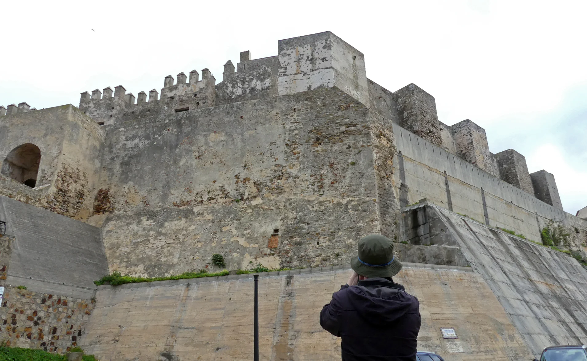 Lesser Kestrel nesting colony - Castillo de Tarifa