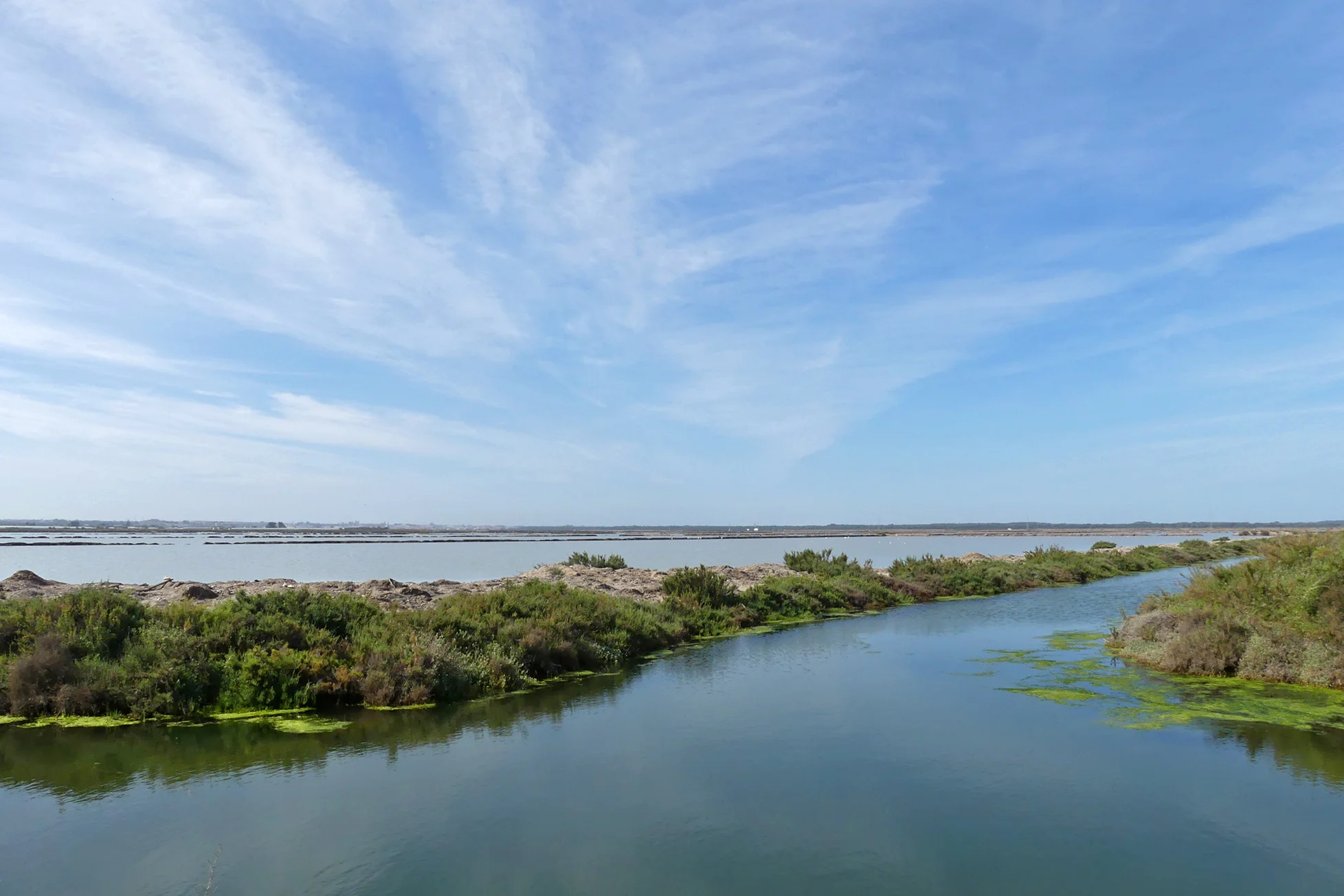 Bonanza Saltpans