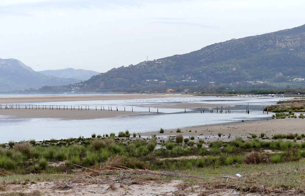 Los Lances Beach