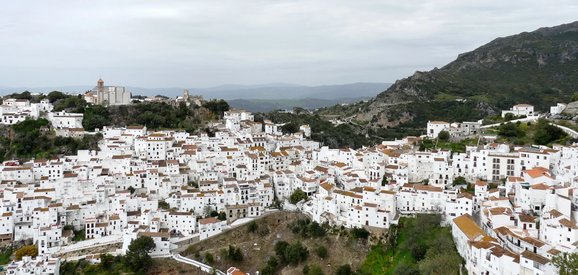 Casares