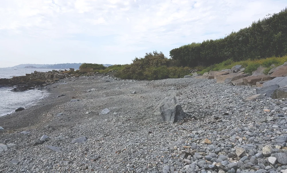 The beach at Spur Point, the haunt of crickets.