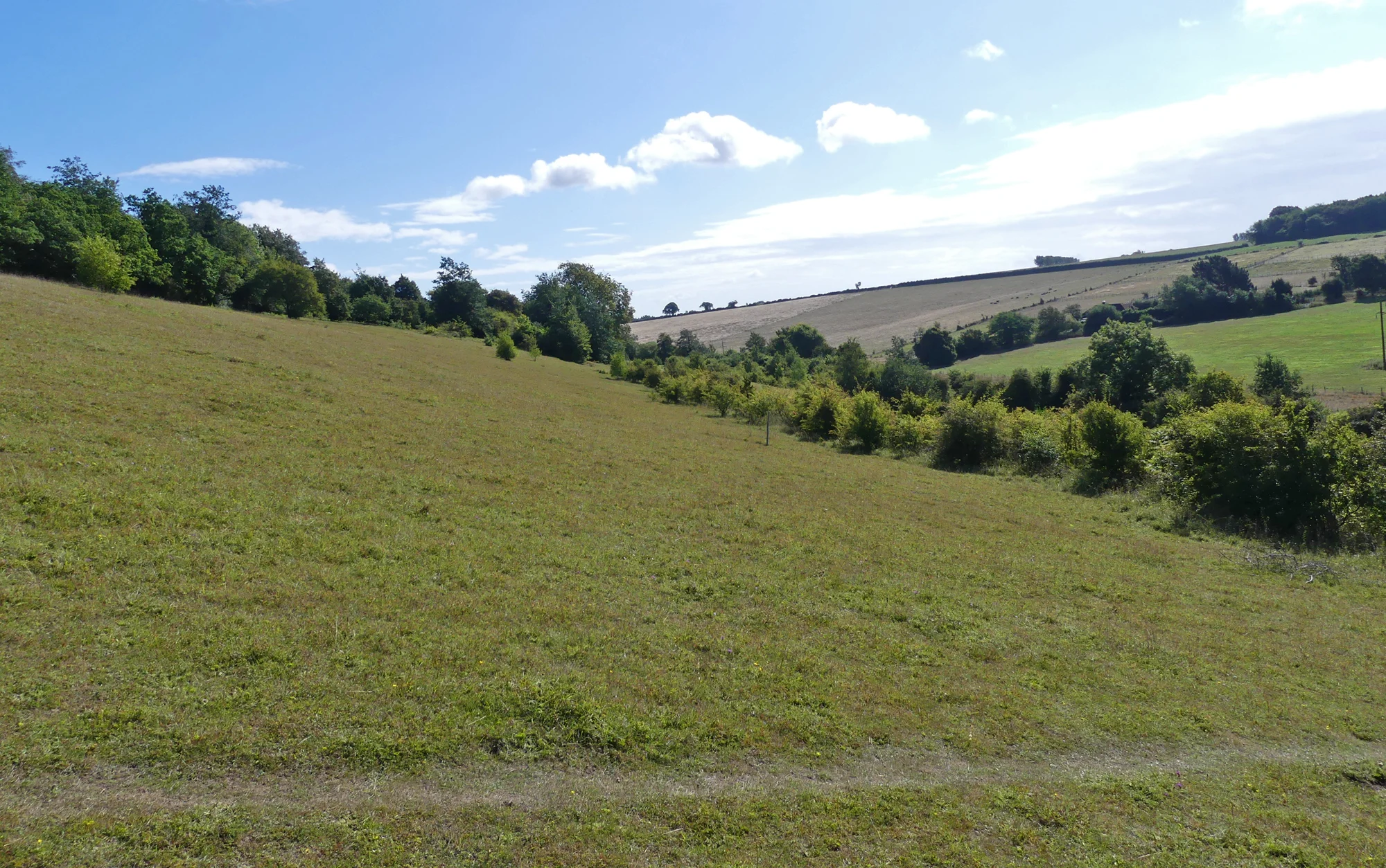 Queendown Warren, Kent
