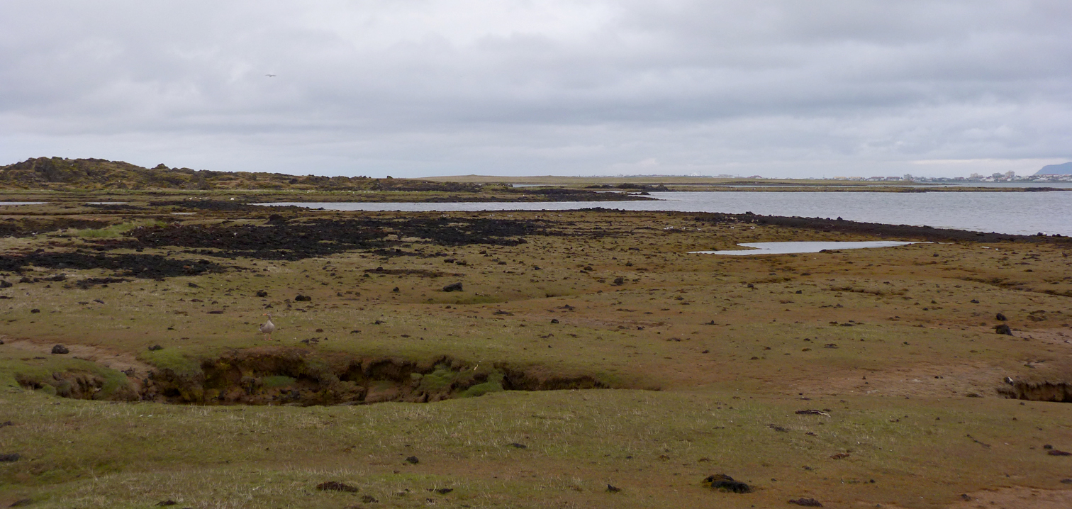 coast at Hafnarfjordur.jpg