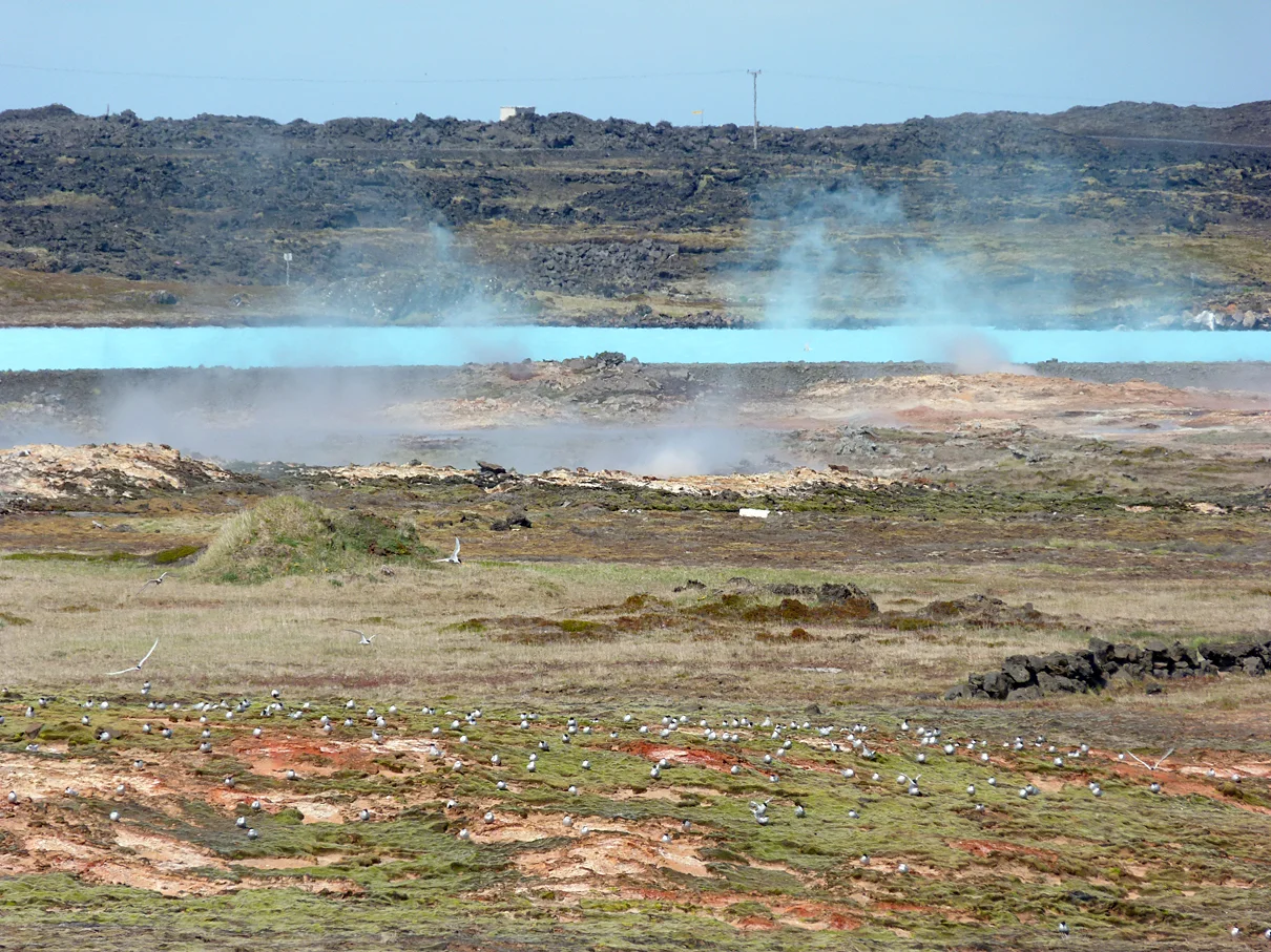 Reykjanes Mud Pools 03.jpg