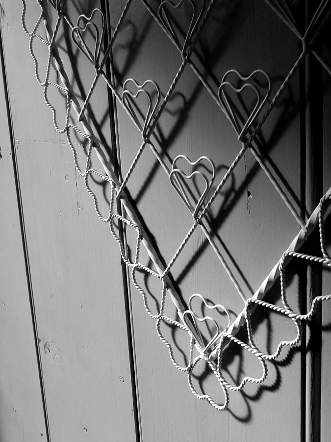 Hearts1.jpg