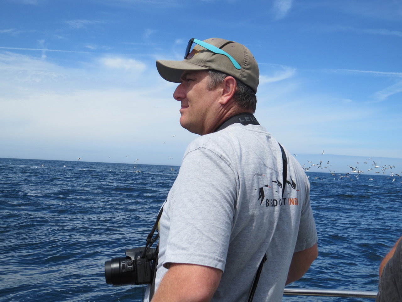 pelagic mpl 1.jpeg