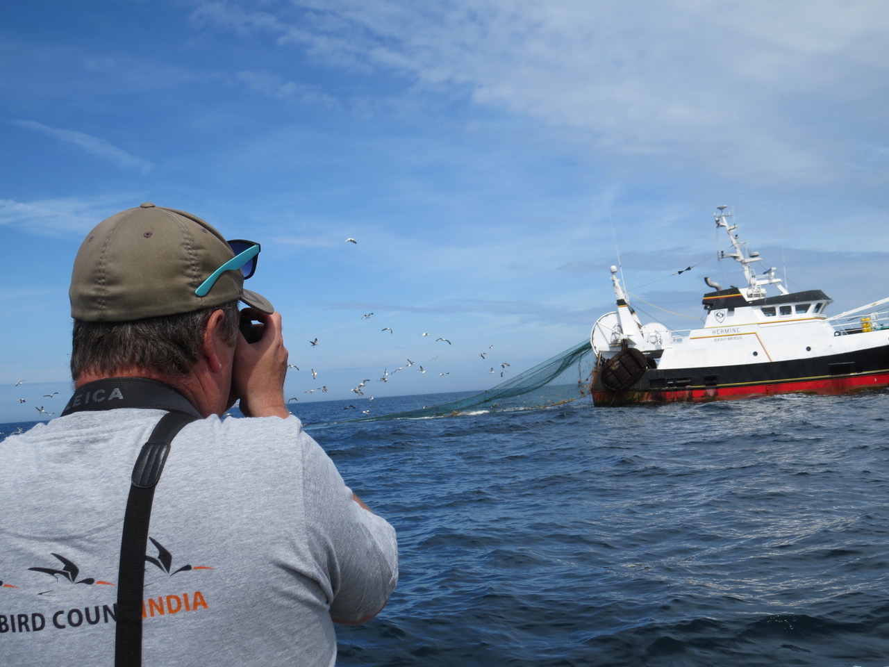 pelagic mpl 2.jpeg