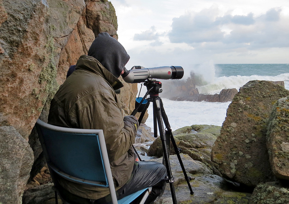themightyseawatcher.jpg