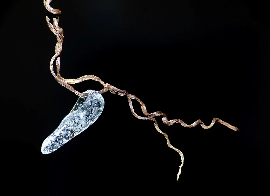 FL glassslipper.jpg