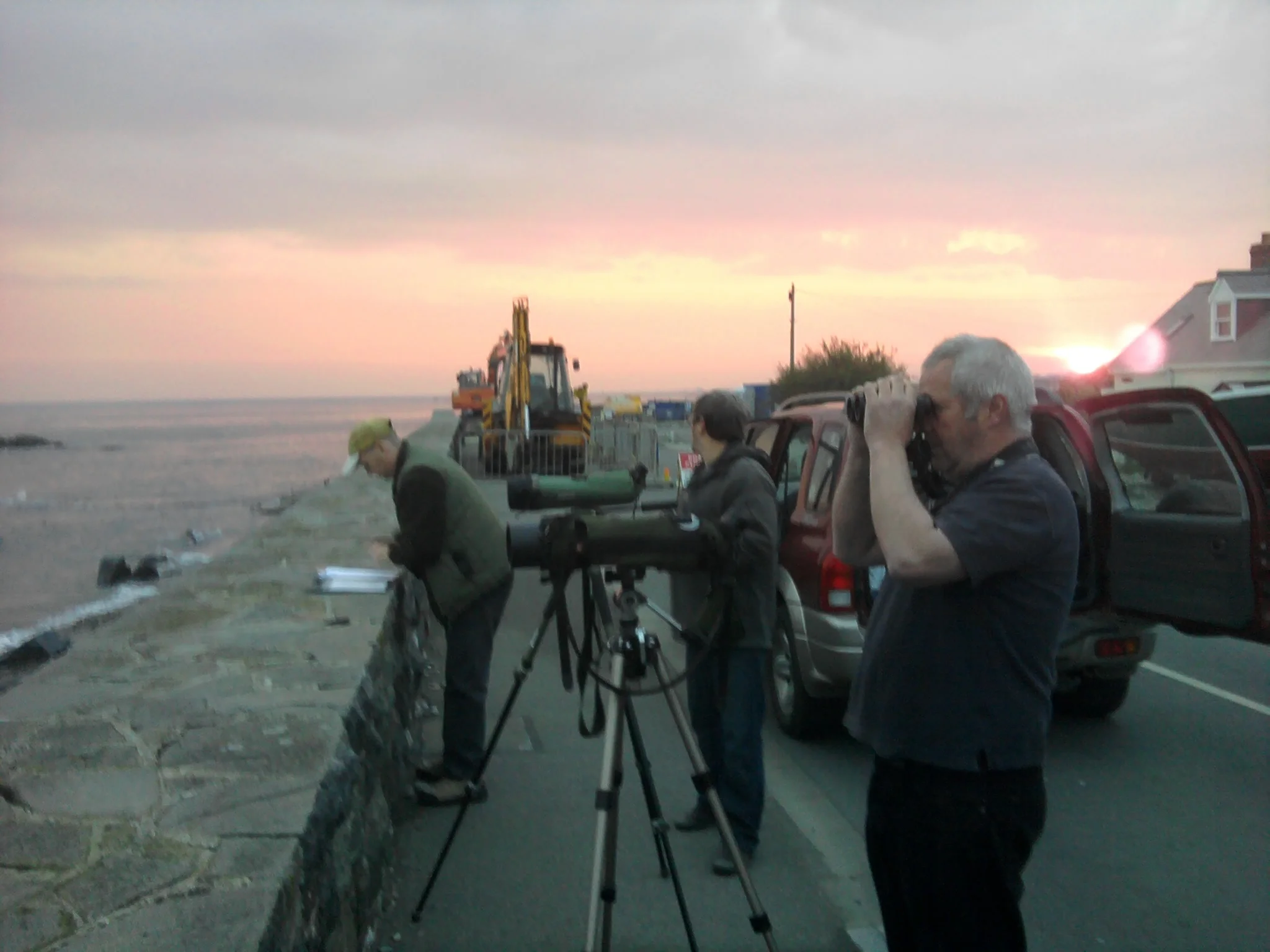 BIRD RACE 2011 a.jpg