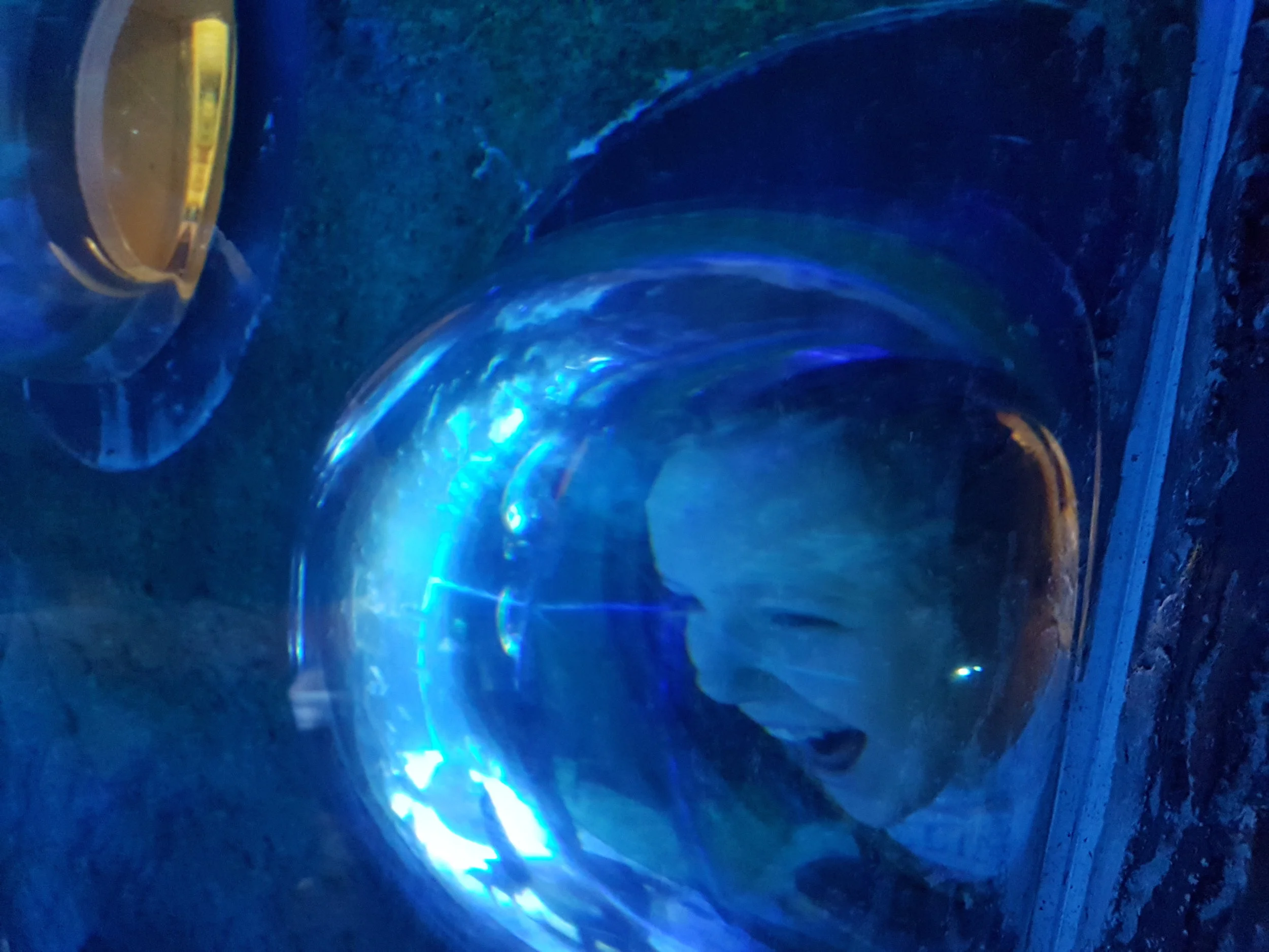 20180815_115316.jpg