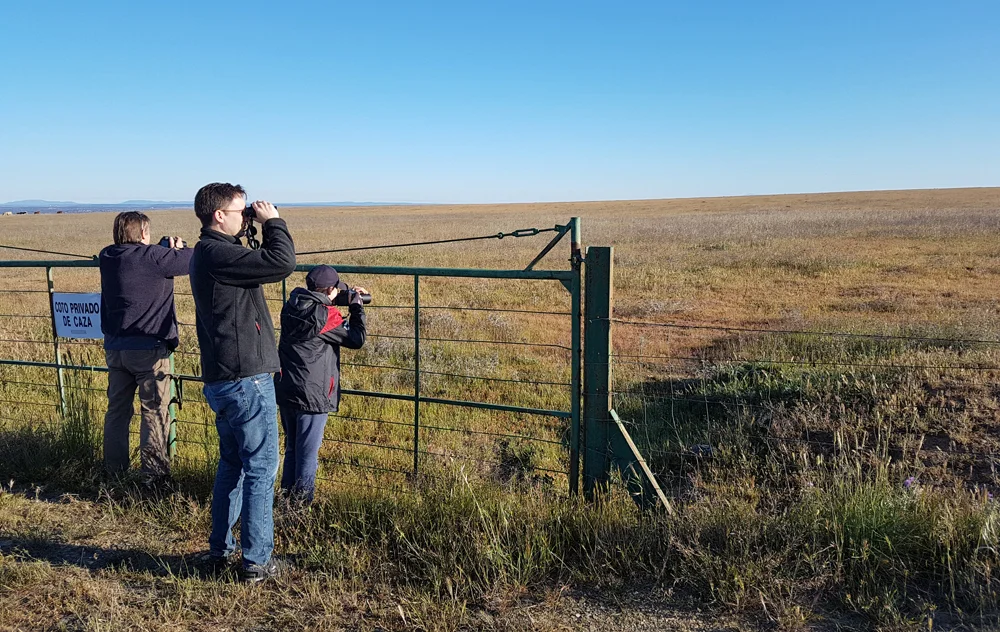 Watching our first Great Bustard SE of Santa Marta de Magasca, 12 Apr 19