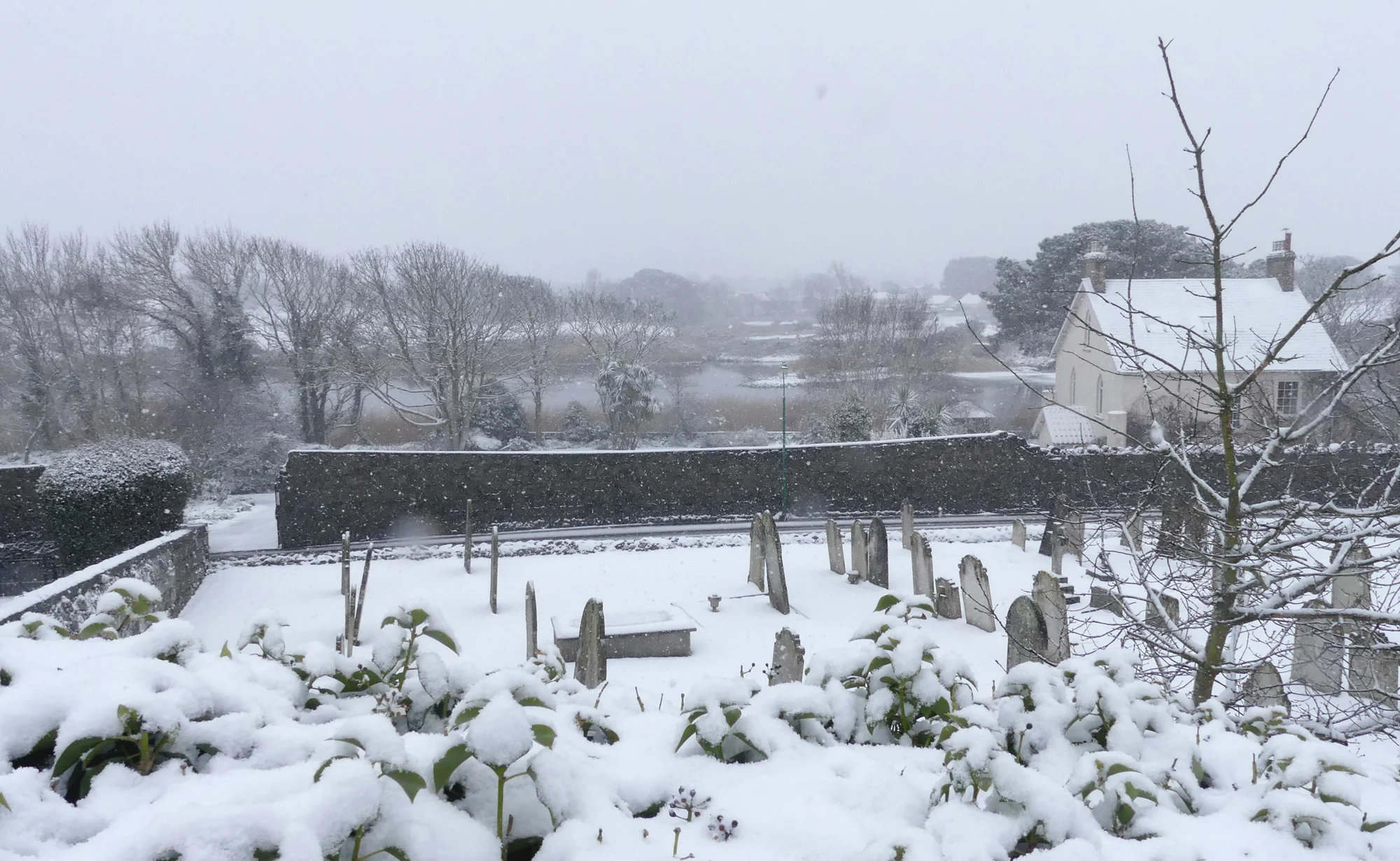 Vale Pond in snow 27Feb18 b.jpg