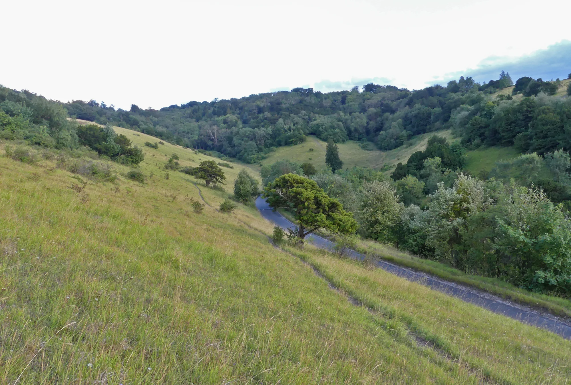 Box Hill.jpg