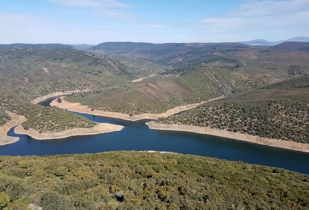Montfrague3 13Apr19.jpg