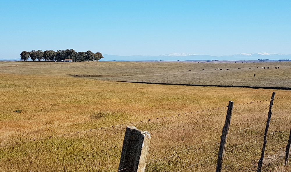 SantaMartaDeM loop 12Apr19 c.jpg