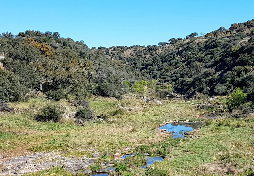 SantaMartaDeM loop 12Apr19 d.jpg