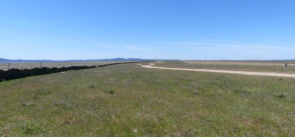 Valdesalor Plains 12Apr19 a.jpg