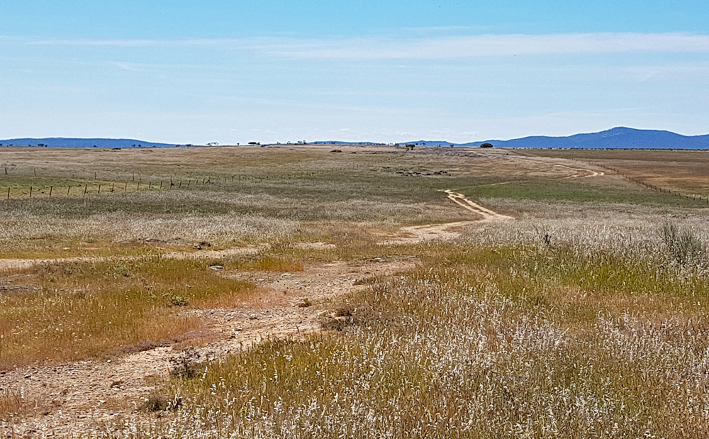 Valdesalor Plains 12Apr19 b.jpg