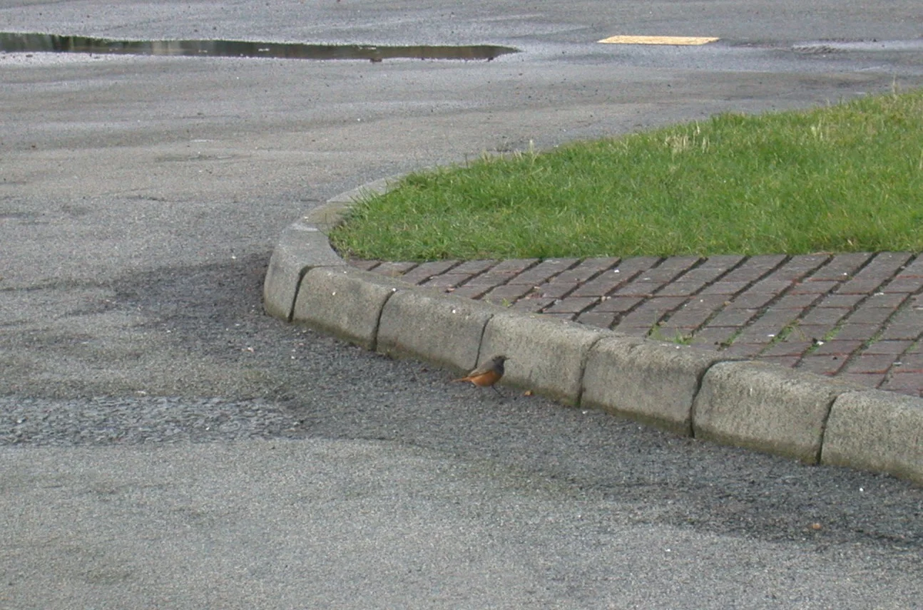 EBR05.jpg