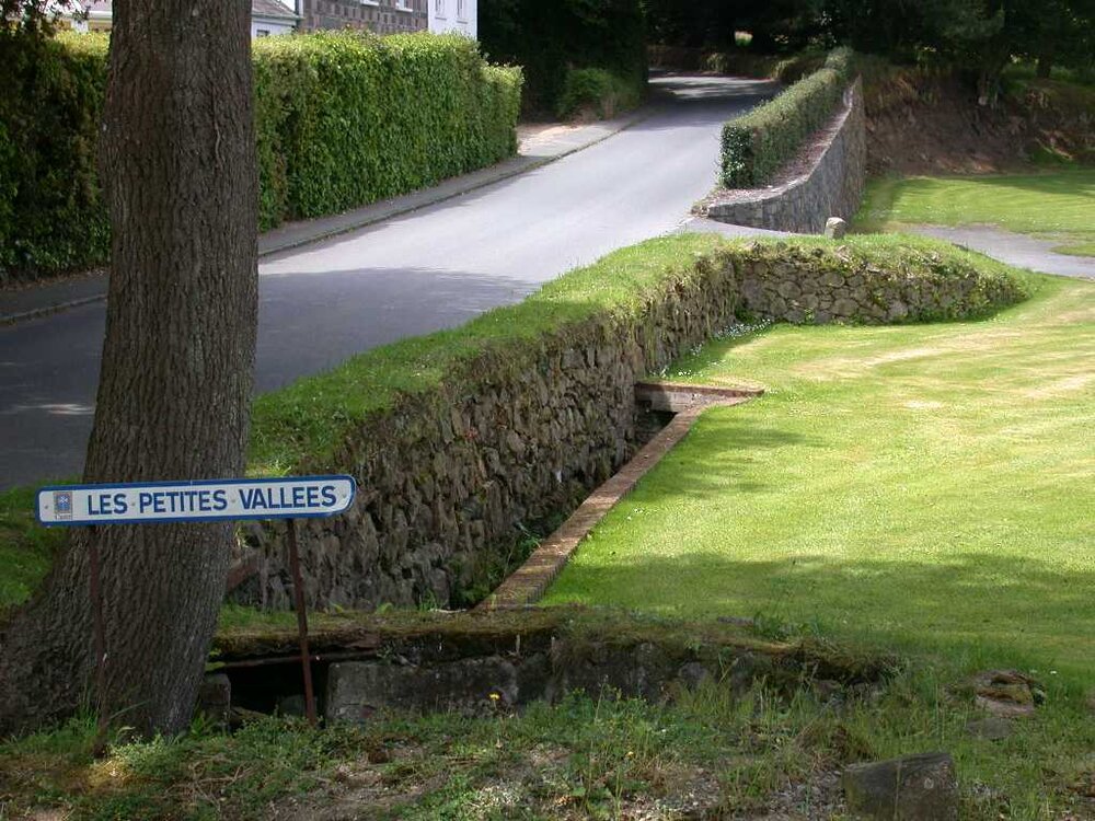 Grey Wagtail nestsite Talbot 16Jun09.JPG