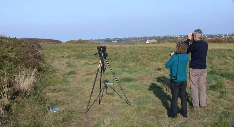 Siberian Stonechat Plein 26Sep09 twitch.JPG